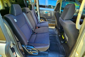 Prywatny transfer z Barbadosu na lotnisko (BGI)