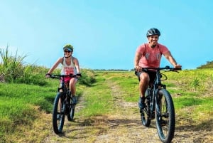 Rural Tracks and Trails Guided E-Bike Tour