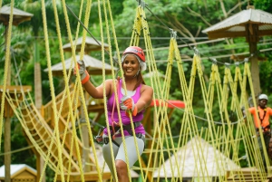 Barbados: Signature Park Pass og Gully Challenge Adventure