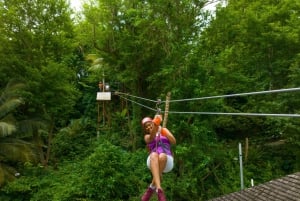 Barbados: Signature Park Pass & Monkey Zip Experience