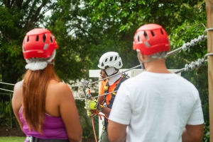 Barbados: Signature Park Pass & Monkey Zip Experience