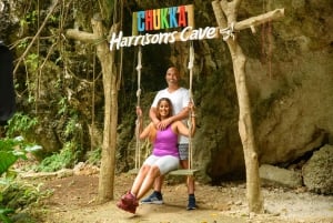 Barbados: Signature Park Pass & Monkey Zip Experience