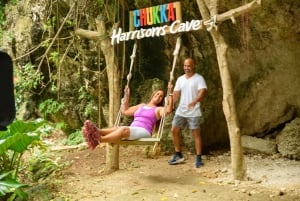 Barbados: Signature Park Pass & Monkey Zip Experience
