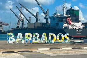 Barbados - en dag på stranden Snorkling, skeppsvraksäventyr och stranddag