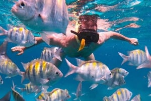 Barbados - en dag på stranden Snorkling, skeppsvraksäventyr och stranddag