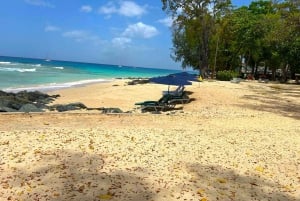 Barbados - en dag på stranden Snorkling, skeppsvraksäventyr och stranddag