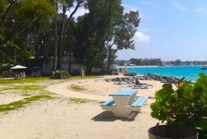 Barbados - en dag på stranden Snorkling, skeppsvraksäventyr och stranddag