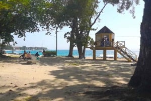 Barbados - en dag på stranden Snorkling, skeppsvraksäventyr och stranddag