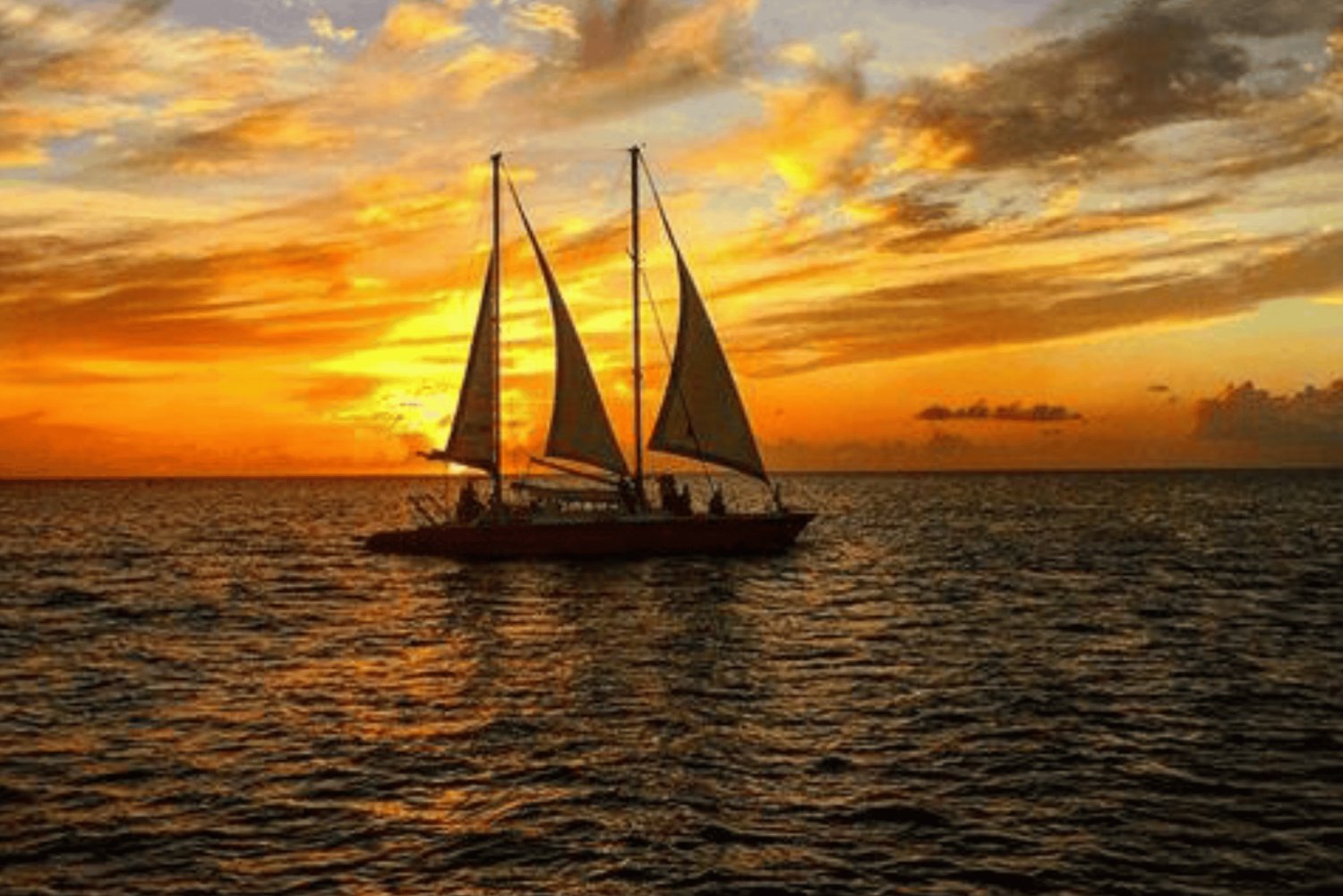 Barbados: Sunset, Turtle, & Shipwreck Cruise w/ Snacks