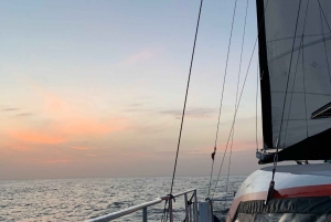 Barbados: Sunset, Turtle, & Shipwreck Cruise w/ Snacks