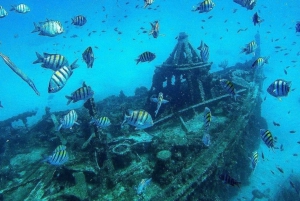 Barbados: Sunset, Turtle, & Shipwreck Cruise w/ Snacks