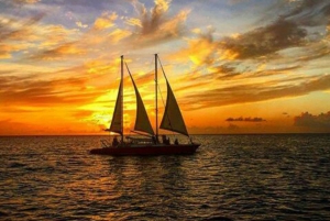 Barbados: Sunset, Turtle, & Shipwreck Cruise w/ Snacks