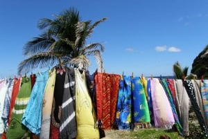Surfe e grama de Barbados
