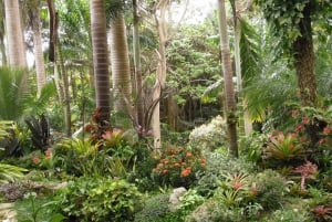La Barbade : grotte de Harrison et jardins de Hunte