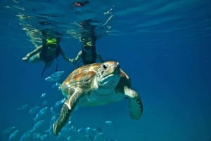 Barbados VIP Catamaran, Snorkeling, & Gourmet Lunch Cruise