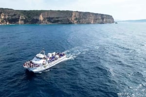 Barbate: obserwacja delfinów i waleni w Cape Trafalgar