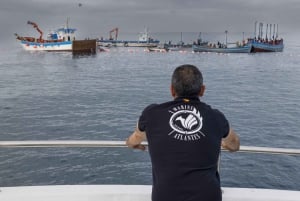 Барбате: природный парк Ла-Бренья и прогулка на лодке к мысу Трафальгар