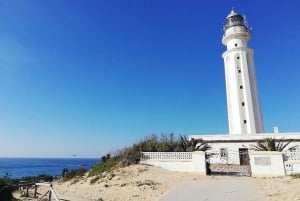 Барбате: природный парк Ла-Бренья и прогулка на лодке к мысу Трафальгар