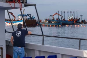 Barbate: Sunset Cruise with Glass of Cava