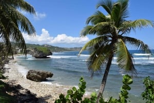 Barbados: Sightseeingtur langs kysten med frokost og transfer