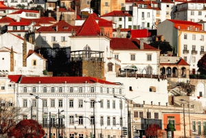 Лучшее в Коимбре: частная пешеходная экскурсия с местным жителем