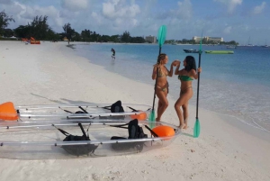 Bridgetown: Carlisle Bay Clear Kayak Shipwreck Tour