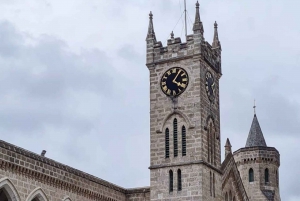 Bridgetown: Historic Guided Walking Tour