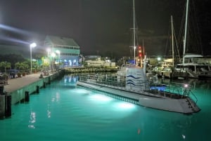 Bridgetown: Nocna wycieczka z przewodnikiem łodzią podwodną