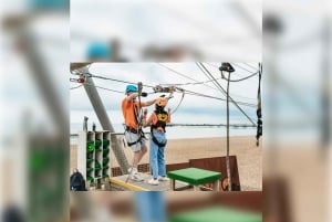 Brighton: Ticket für die Seilrutsche und Transfer