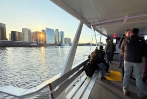 Buenos Aires: Puerto Madero Sunset Cruise with Open Bar