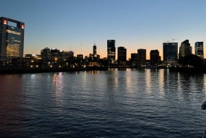 Buenos Aires: Puerto Madero Sunset Cruise with Open Bar