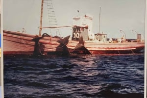 Канисал: входной билет в Музей китов Мадейры и частный тур