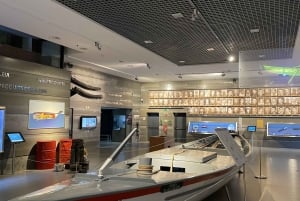 Канисал: входной билет в Музей китов Мадейры и частный тур