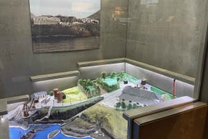 Канисал: входной билет в Музей китов Мадейры и частный тур