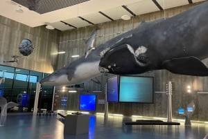 Канисал: входной билет в Музей китов Мадейры и частный тур