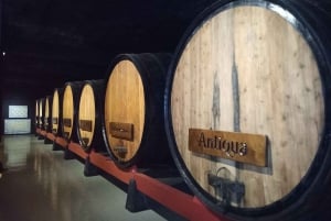 Coimbra: wycieczka gastronomiczna Rota da Bairrada