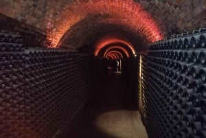 Coimbra: wycieczka gastronomiczna Rota da Bairrada