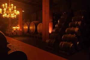 Coimbra: wycieczka gastronomiczna Rota da Bairrada