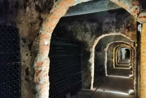 Coimbra: wycieczka gastronomiczna Rota da Bairrada