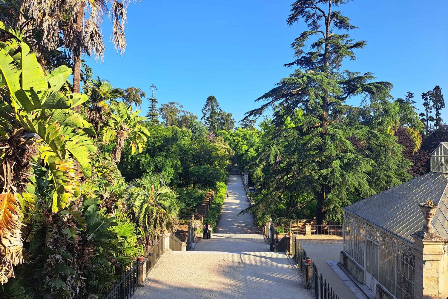Coimbra Botanical Garden Tour: Storytelling Through Nature
