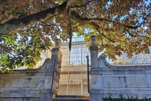 Coimbra Botanical Garden Tour: Storytelling Through Nature