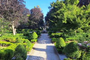 Coimbra Botanical Garden Tour: Storytelling Through Nature