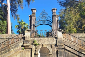 Coimbra Botanical Garden Tour: Storytelling Through Nature