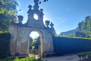 Coimbra Botanical Garden Tour: Storytelling Through Nature
