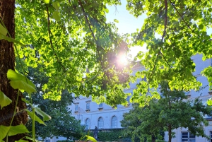 Coimbra Botanical Garden Tour: Storytelling Through Nature