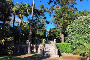 Coimbra Botanical Garden Tour: Storytelling Through Nature