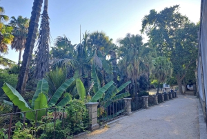 Coimbra Botanical Garden Tour: Storytelling Through Nature