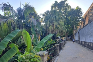 Coimbra Botanical Garden Tour: Storytelling Through Nature