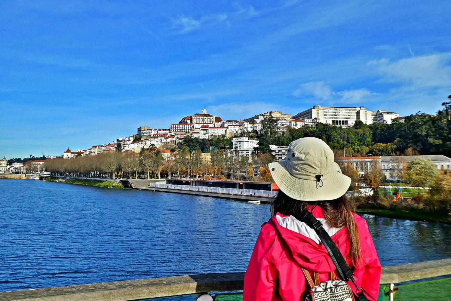Coimbra: Discover the Charms and Highlights Walking Tour