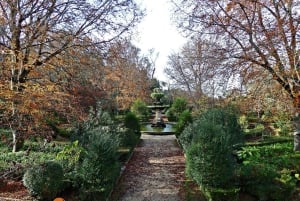 Coimbra: Odkryj uroki i najważniejsze atrakcje podczas pieszej wycieczki